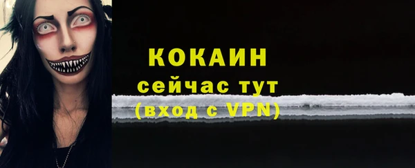 крисы Арсеньев