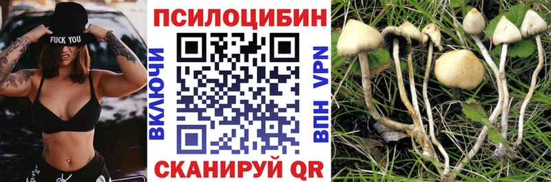 даркнет сайт  Кубинка  Галлюциногенные грибы GOLDEN TEACHER 