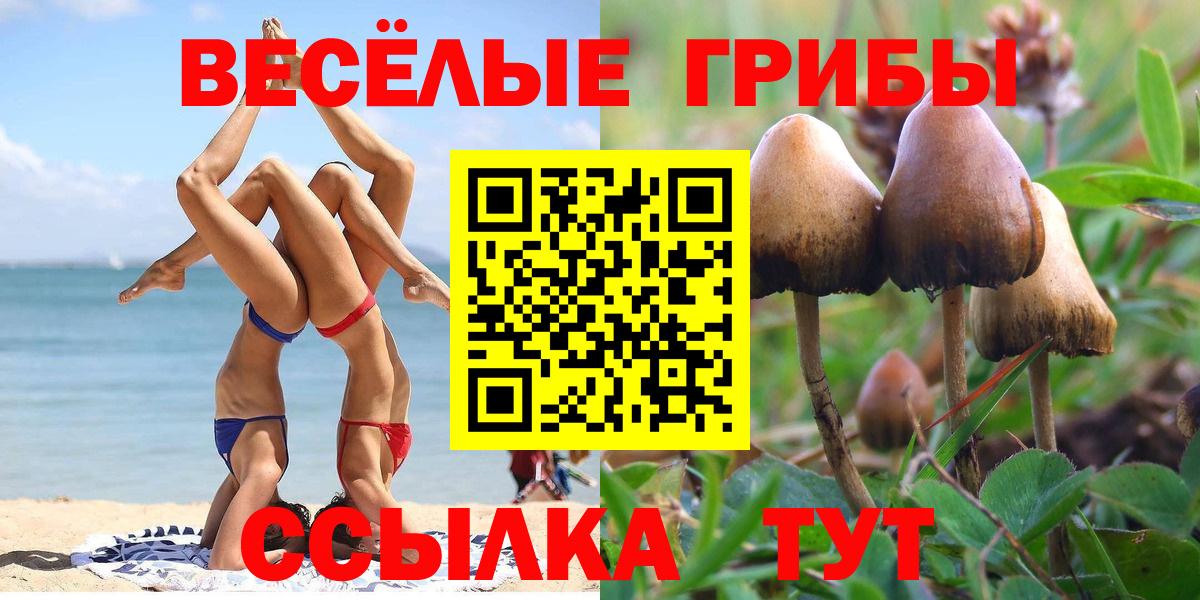 Псилоцибиновые грибы прущие грибы  Вход с VPN  Галлюциногенные грибы ЛСД  Кубинка 